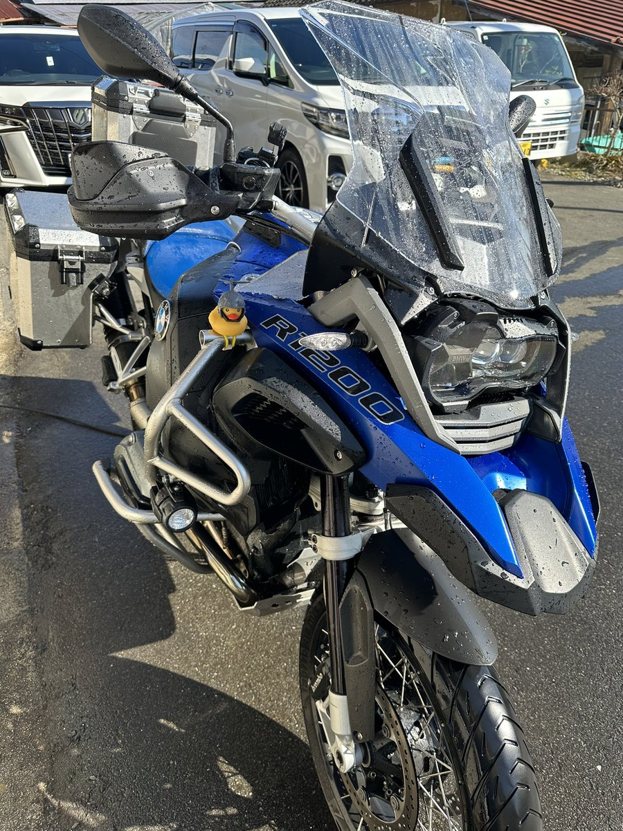 風来坊。 tweet media