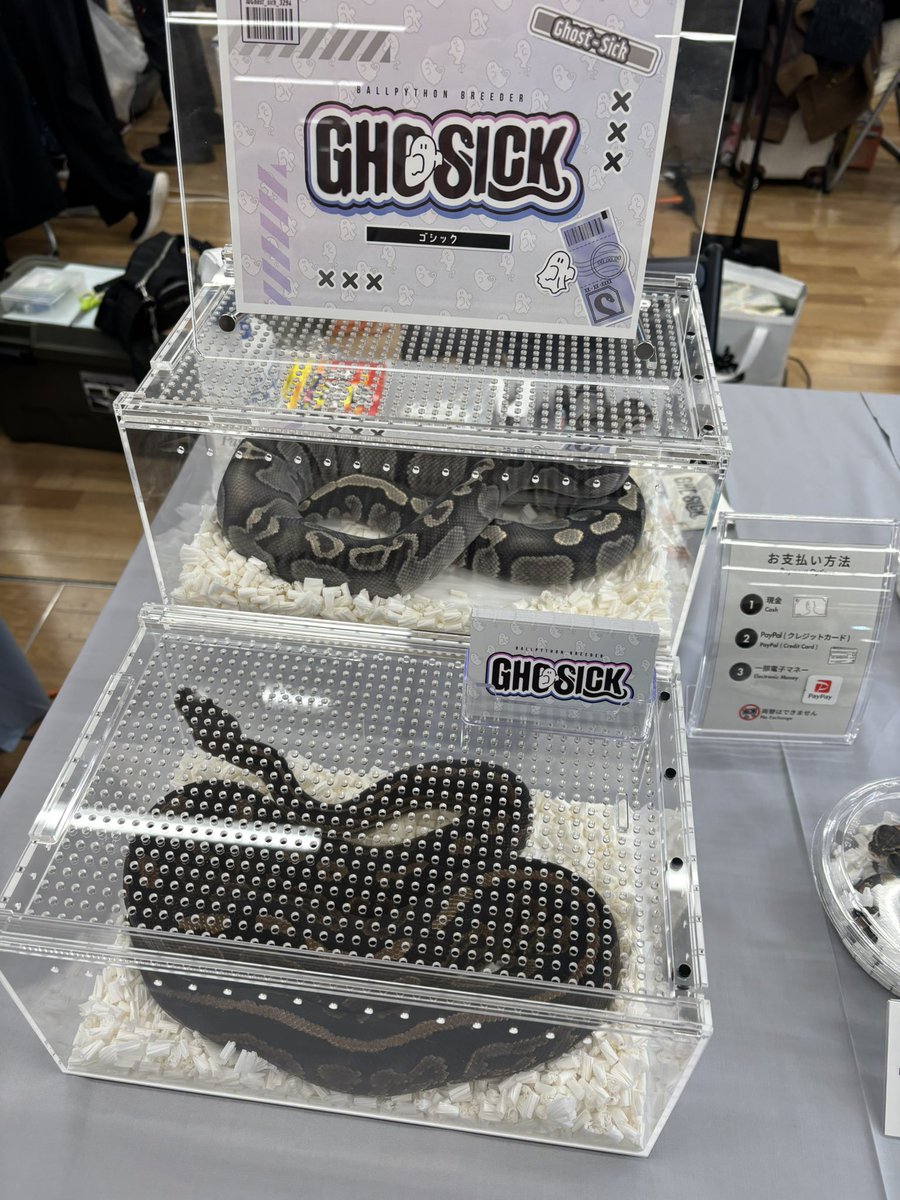 Ghost_sick_3294's tweet image. ポストが遅くなりましたが、本日はどうぞよろしくお願いいたします…！