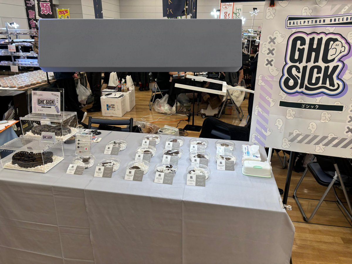 Ghost_sick_3294's tweet image. ポストが遅くなりましたが、本日はどうぞよろしくお願いいたします…！