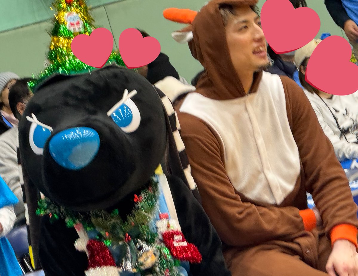 たぬきᐢ⓿ᴥ⓿ᐢ Post by たぬきよᐢ⓿ᴥ⓿ᐢ(U・ᴥ・)(・ᴥ・U) on X: かわいい(笑)