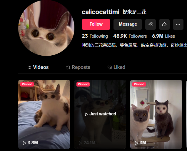 Memeshiit's tweet image. This could be the next POPCAT

6.9m total likes with 48.9k followers. Let's make this the new runner before the end of the year.

I messaged the owner of the cat, and he gave me his Solana address. I will send the supply to him and some rewards fees.

The rewards fee will be used…