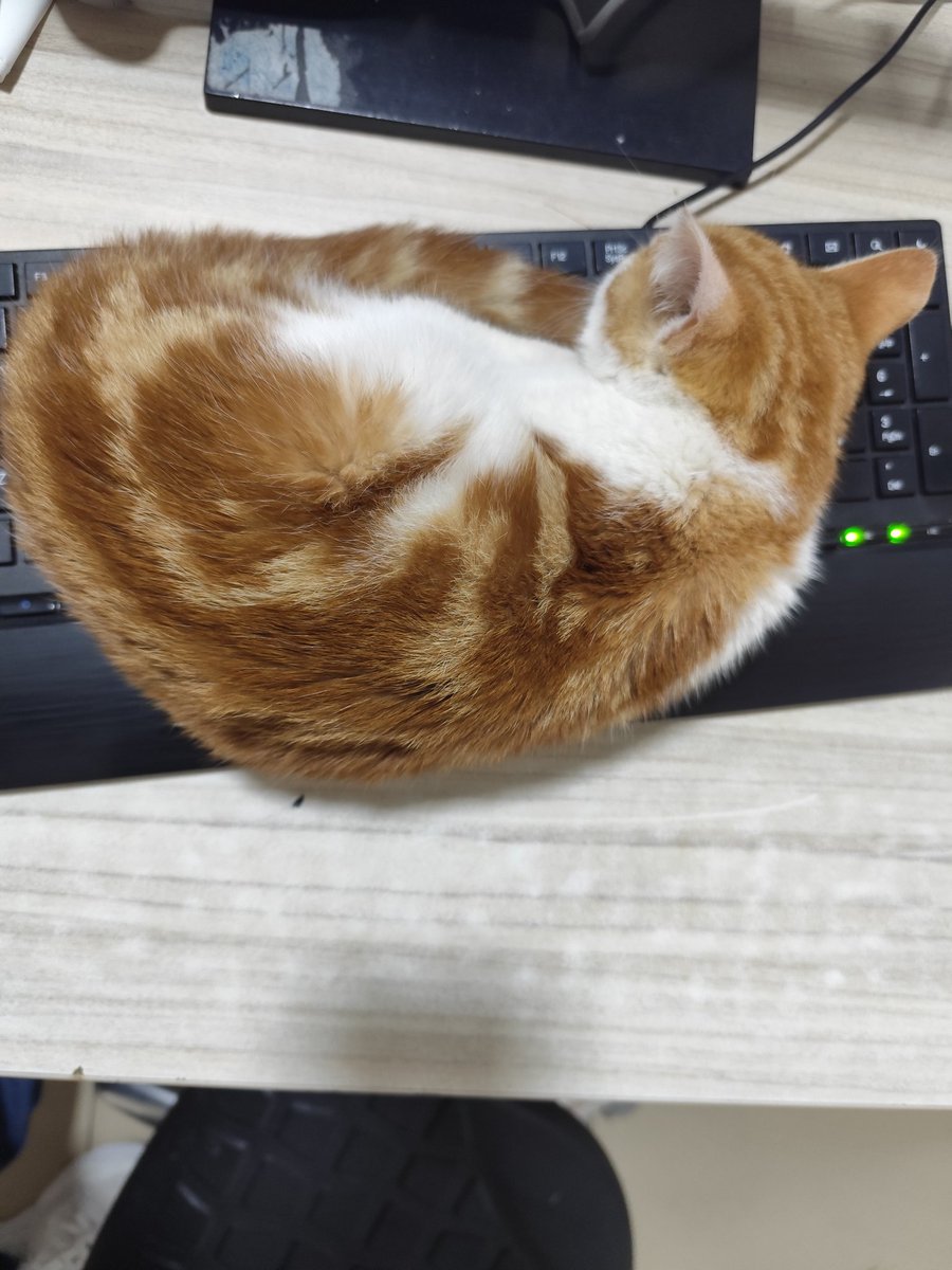 Nöbet arkadaşım ❤️❤️