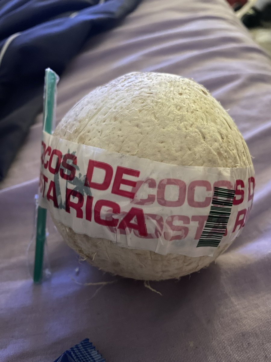 Hannah_the_rad's tweet photo. I bought a coconut! https://t.co/SvRc3bVj8B