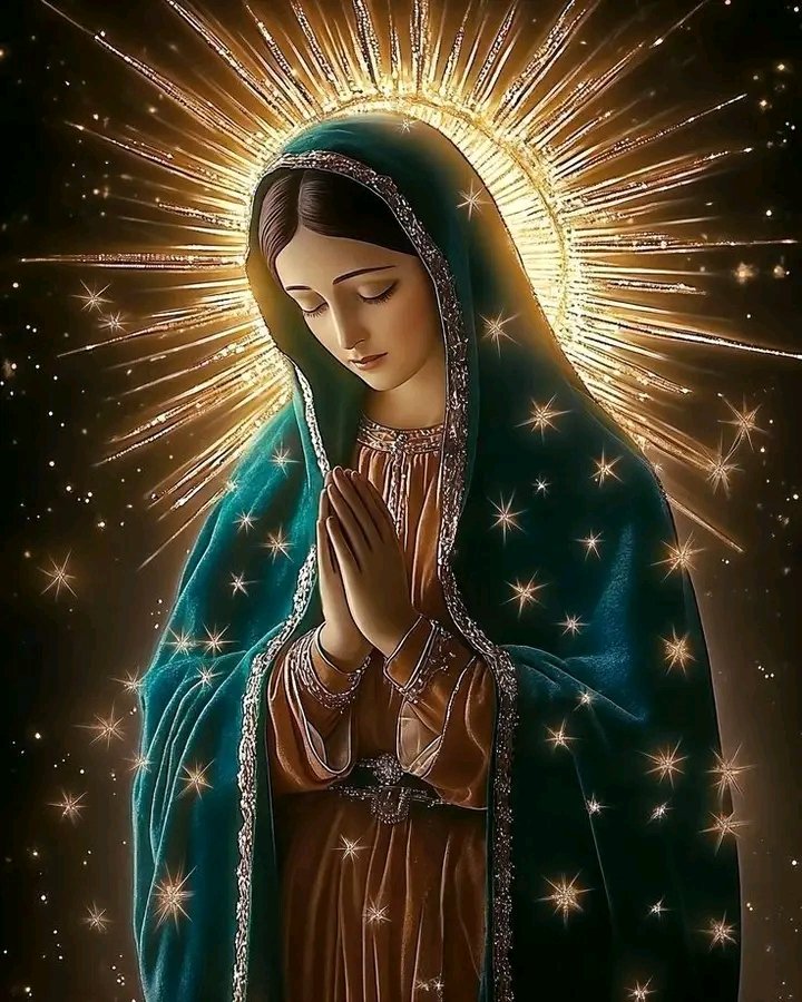 SudarshanKarna8's tweet photo. @lhkjade921 Wishing you quiet mornings, soft lights, gentle evenings, and moments that feel like exhaling.
May your Christmas be gentle in all the best ways. 🎄❤️
#Inspirivity #CozyChristmas #WarmWishes #HolidayCalm #SimpleJoy https://t.co/jR5aBFeSTf