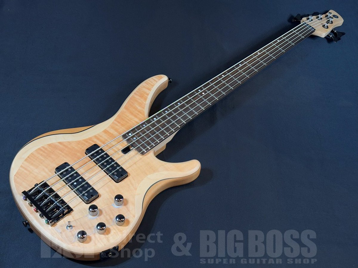 商品情報！】 #YAMAHA TRBX605FM NS 軽量ボディで5弦を初めて扱う方に