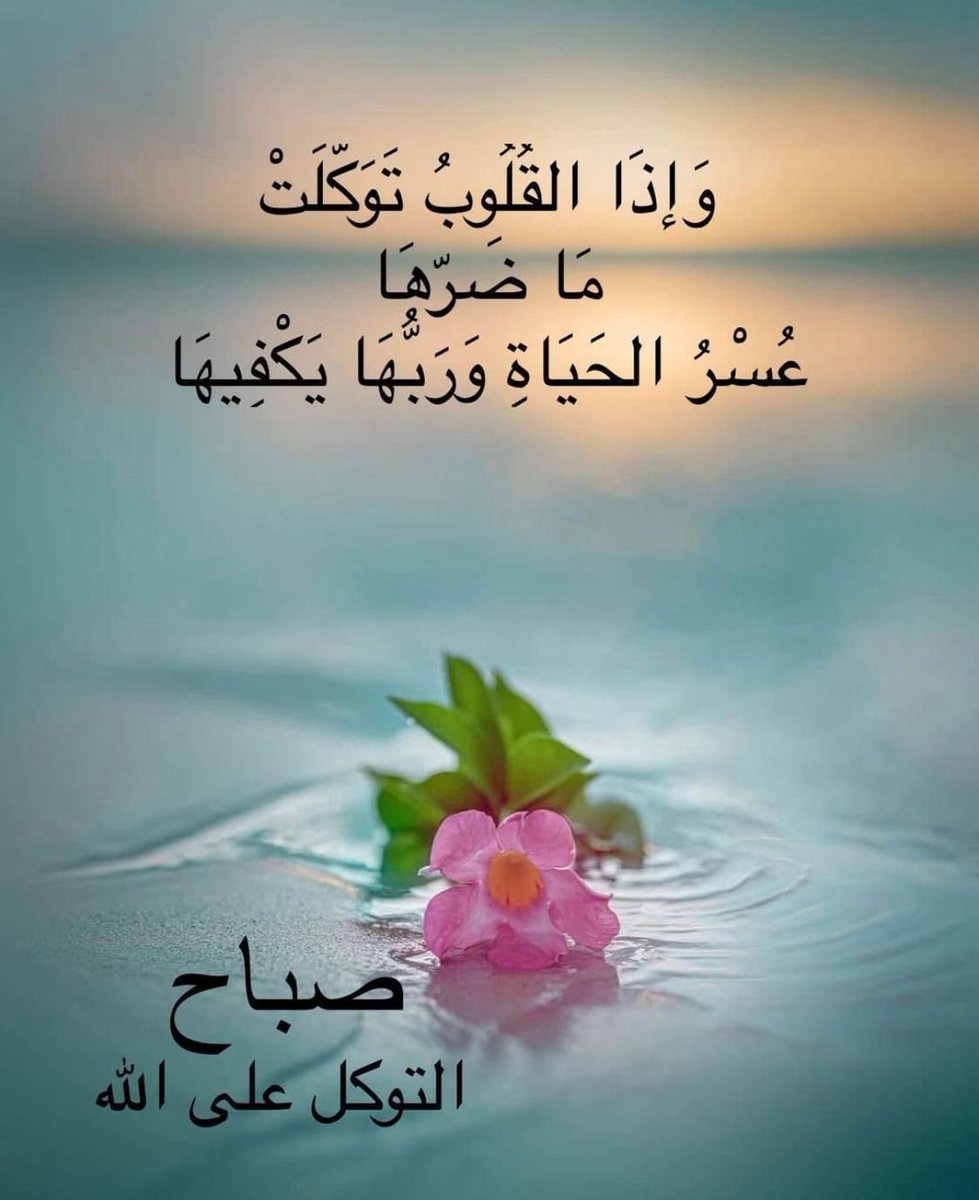 souad (@souadnews) on Twitter photo 