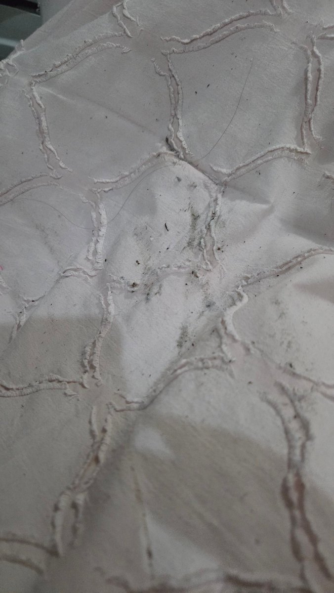 Mónica Cerrillo tweet media