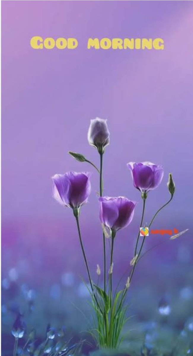 #सुप्रभात