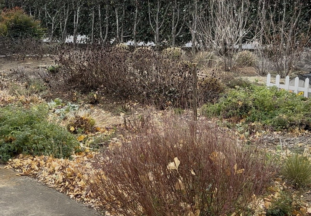 ビフォーアフター。
握力無くなってしまったので今日はここまで。