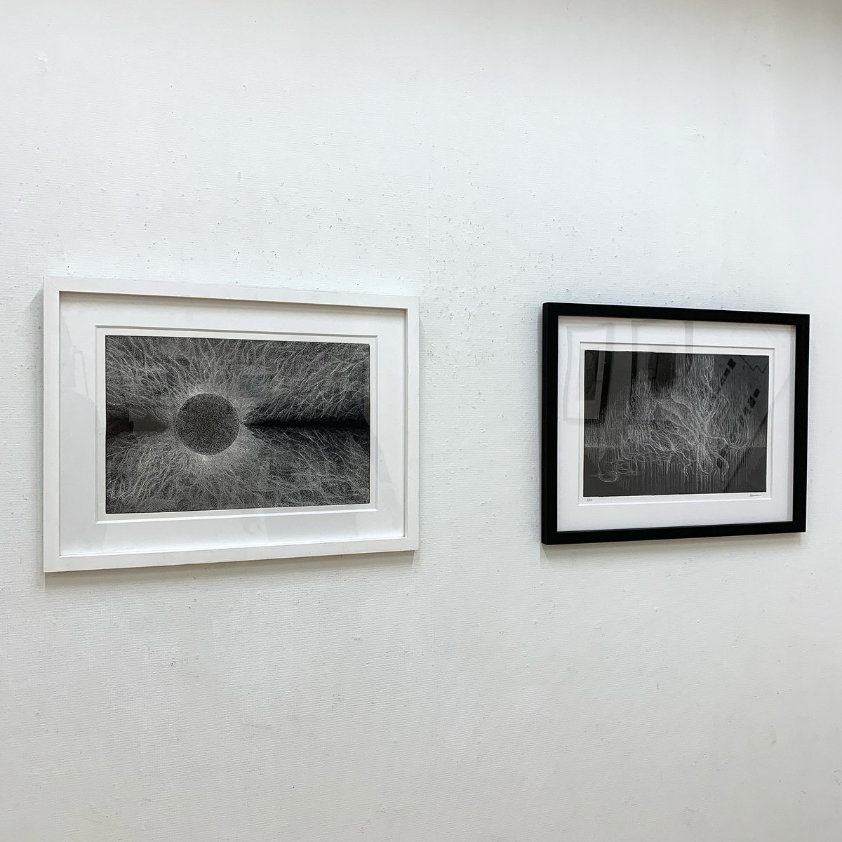 鵜沼 豊 展
UNUMA Yutaka
2025 12.15(mon) -12.21(sun) 　　 　
エッチング、凸版刷り