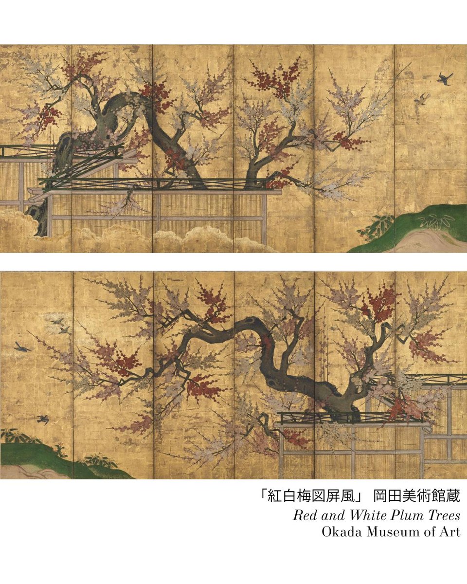 愛でたい美術①】 作品：「紅白梅図屏風」 無数の花をつけた梅の老木が