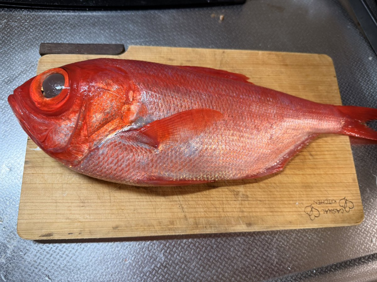 ともんきち (@frisk_disco) / Posts / X