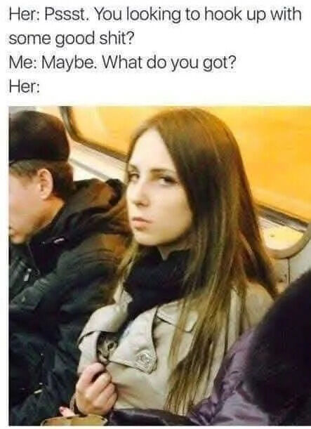 WholesomeMeme's tweet image. 