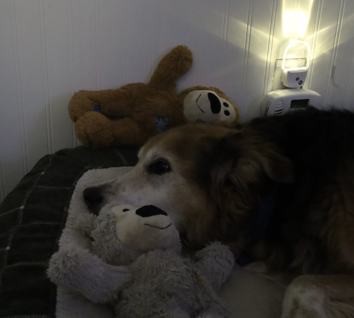 Cam (@tocam29) on Twitter photo 