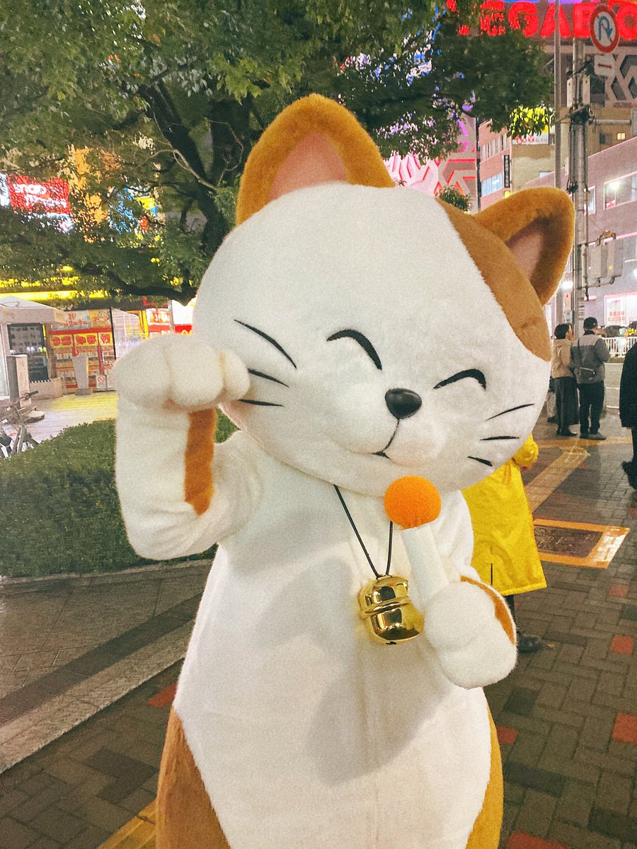 ポテチーノ まねきねこ！ 昨日まねきねこさんに遭遇して、可愛いから撮らせてもらった