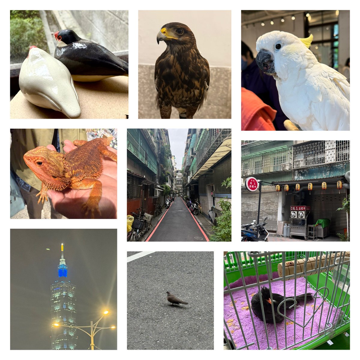 fug2's tweet image. 皿売ってトリ見て食って皿売って食ってます。