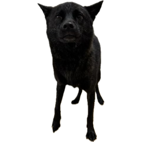 なぎ (@CFTnagi) / Posts / X