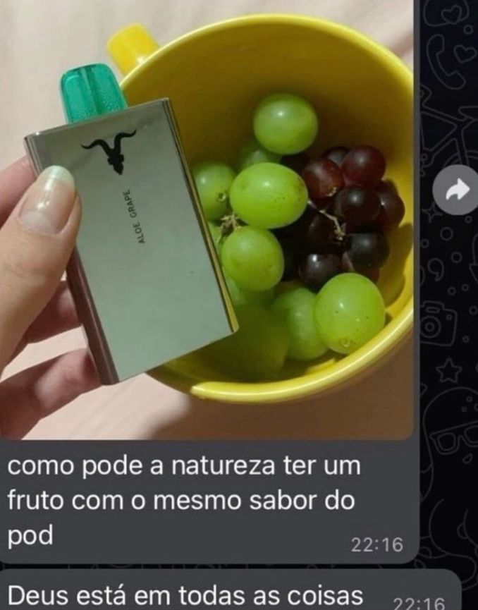 coisas burras ditas de forma inteligente tweet media