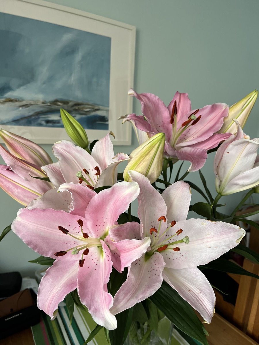 1leio's tweet image. 