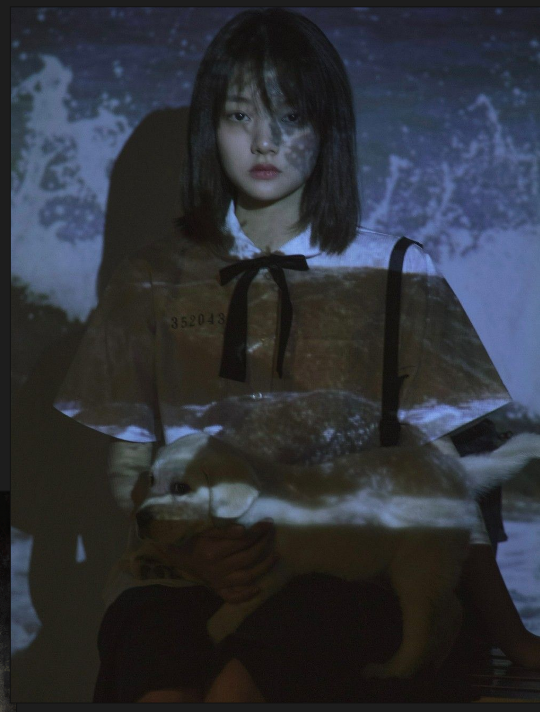 阿没MEInoss tweet media