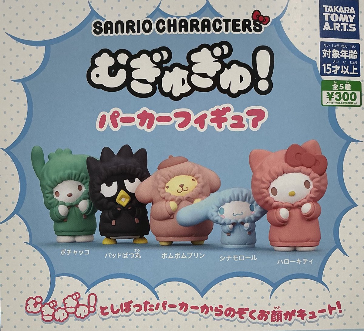 きゅーさん　専用　のあ　キャラクターグッズ セット 🙇‍♂️12月21日（日） 完売のお知らせ🙇 ☁️SANRIO CHARACTERS む