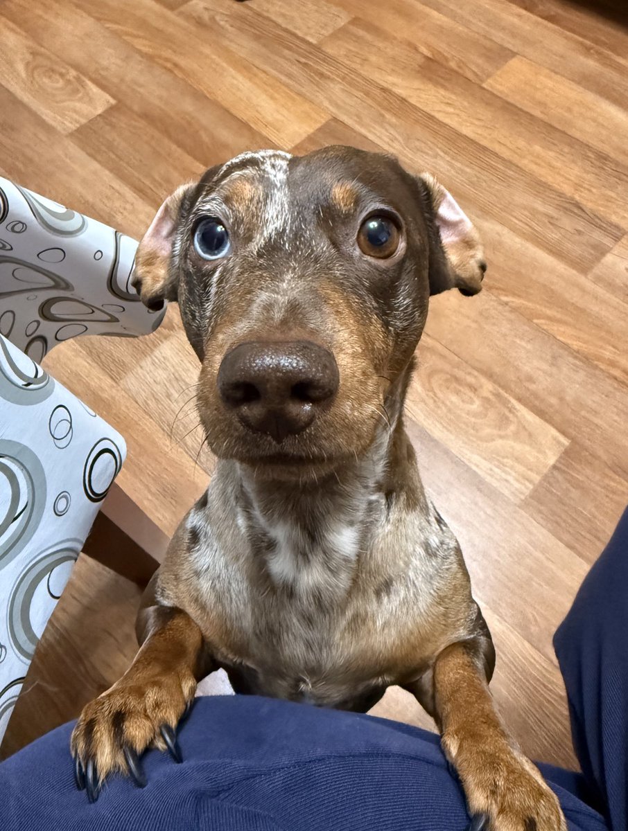 Пришлось поторговаться, кончено, но операция успешна