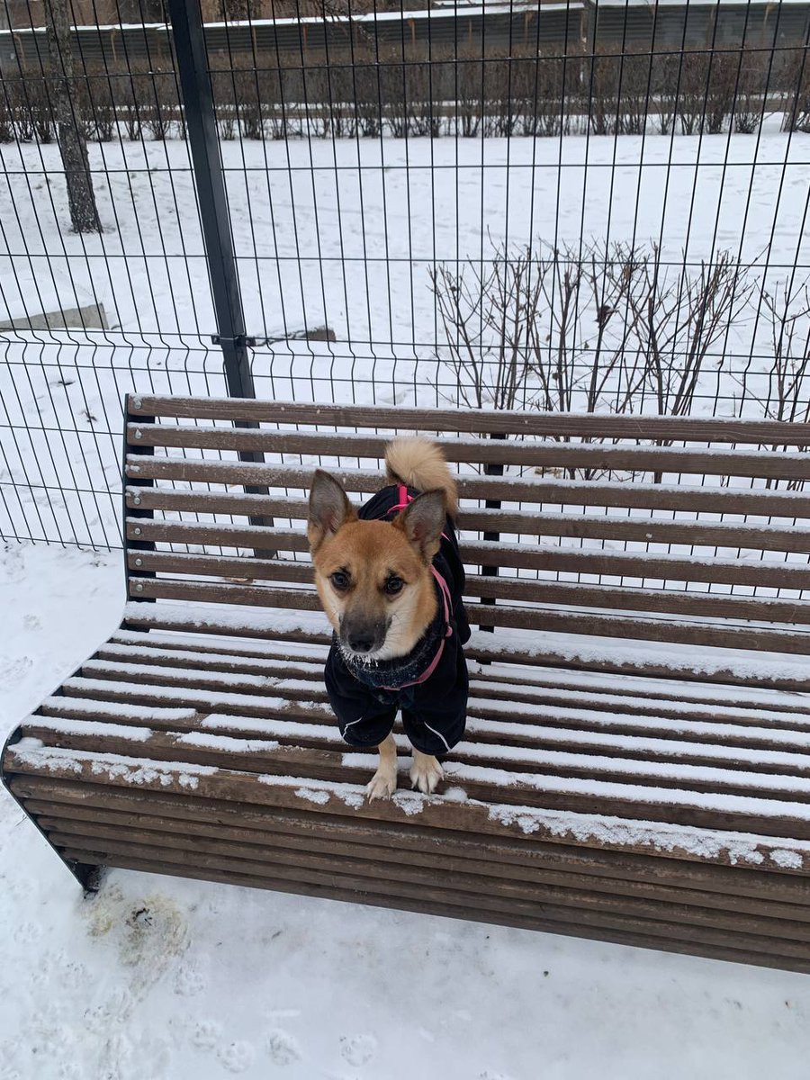 Профессор Леголасов tweet media