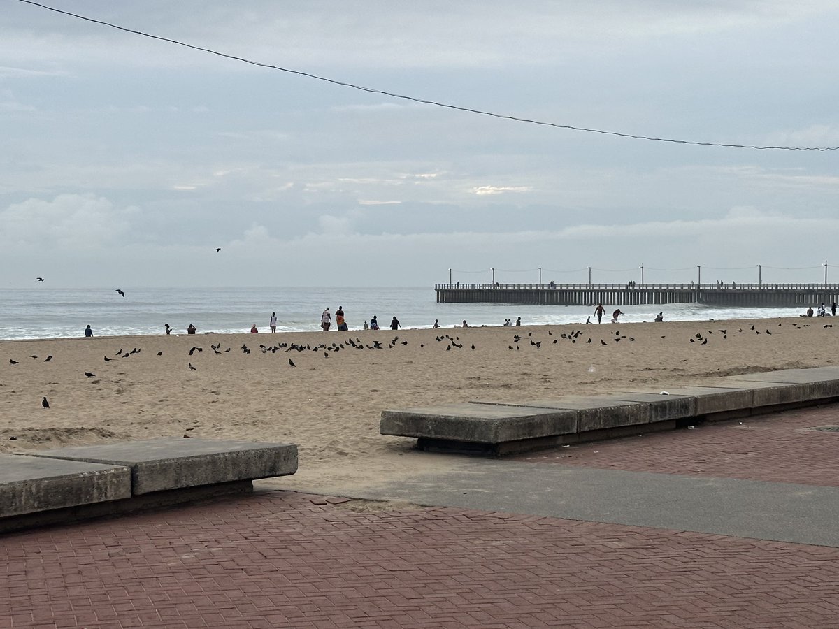schohan's tweet image. Durban beach walk this morning