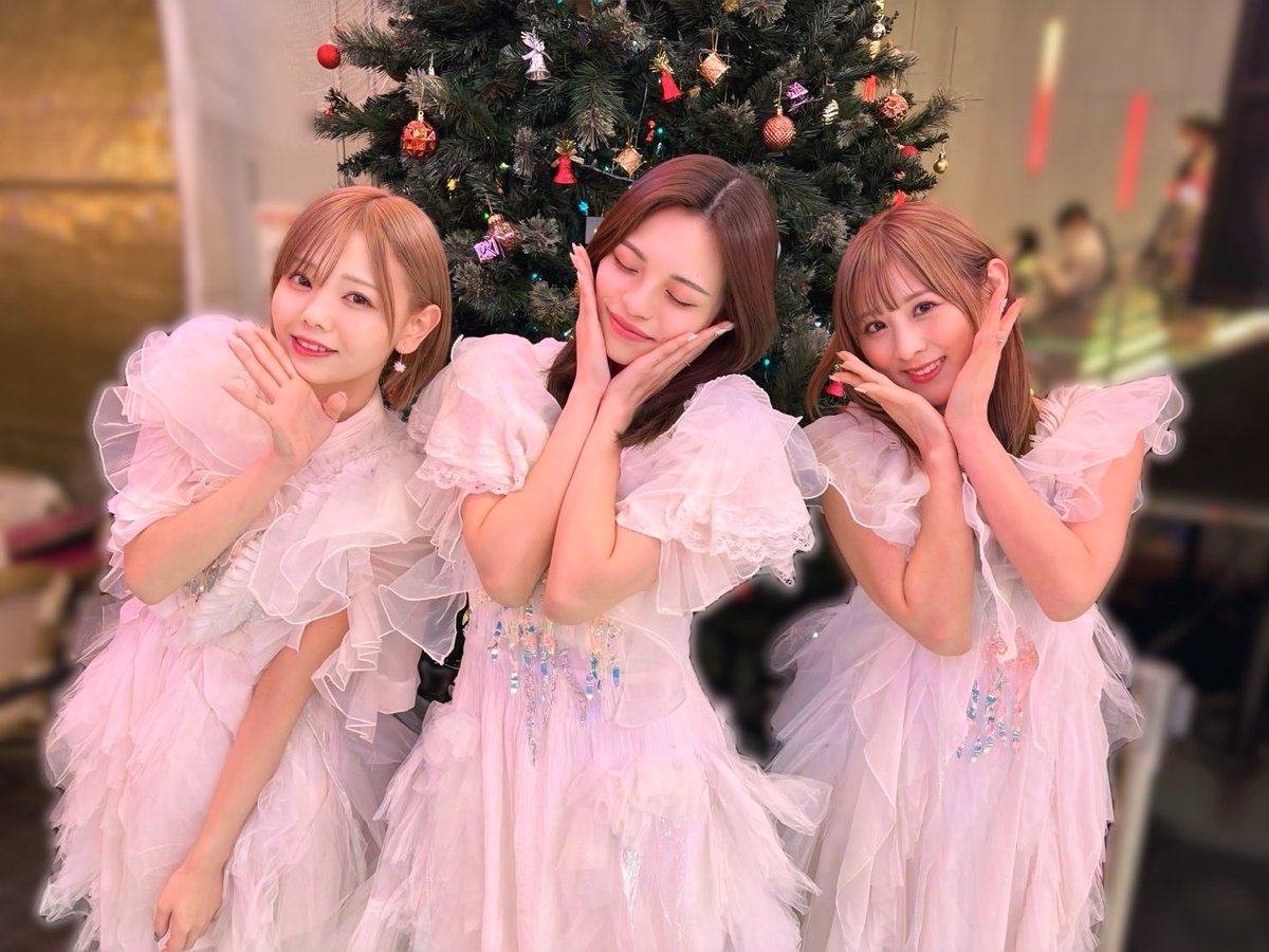 クリスマス☆仲良しシマナガエ♡ こんまなさん🌼☺︎︎🧡 みんな～！明日のクリスマス単独ライブの
