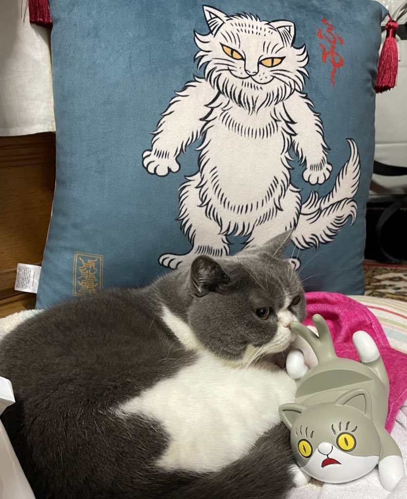 値引き新品　石黒亜矢子 　焦茶の猫の毛をむしりとって作った クッション 　グレー 石黒亜矢子個人専門店 月光蔵 | 「焦茶の猫の毛をむしりとって作った