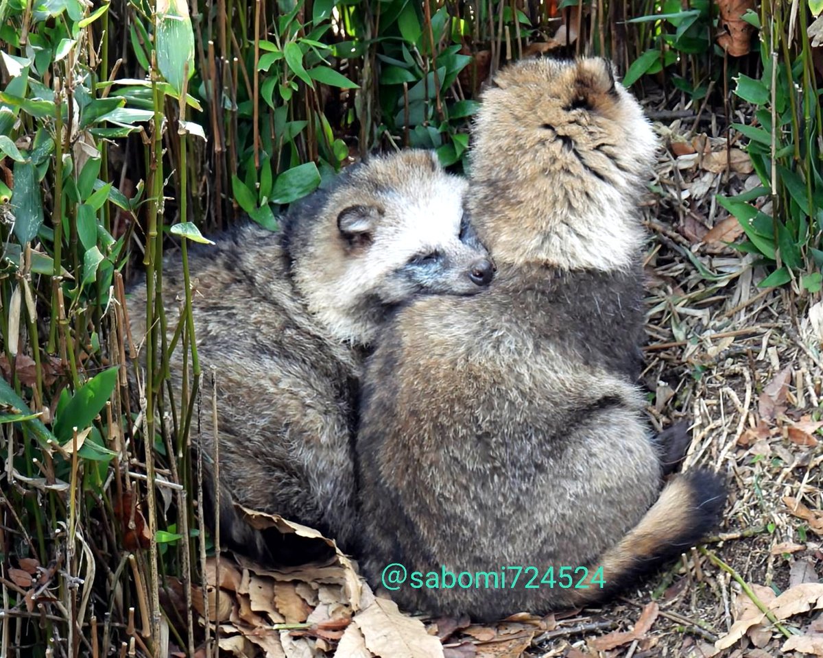 六/写真 (@roku6photo) / Posts / X