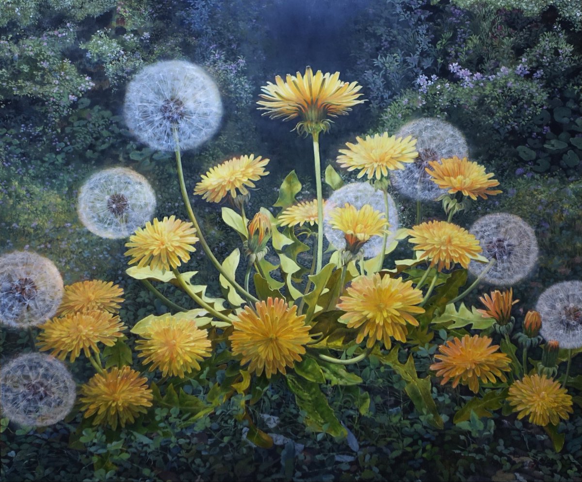 Dandelions F8 #油彩 #art #タンポポ