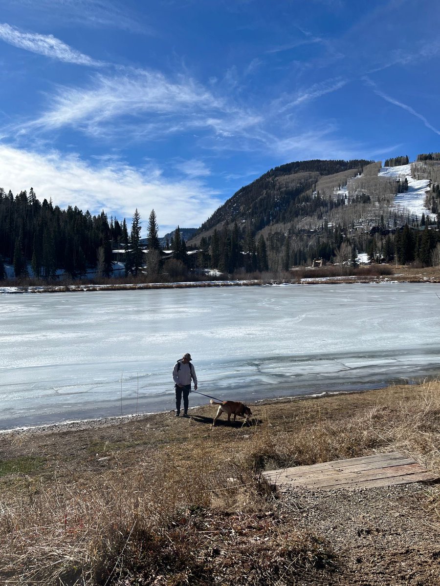 davidao7x's tweet image. colorado