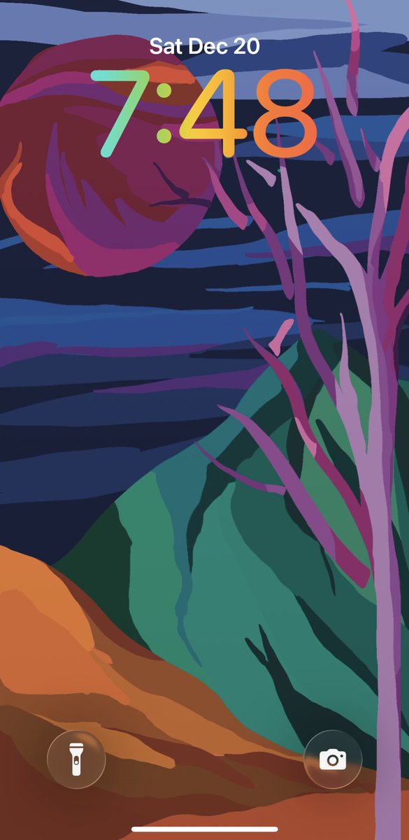 Batool Rizvi tweet media