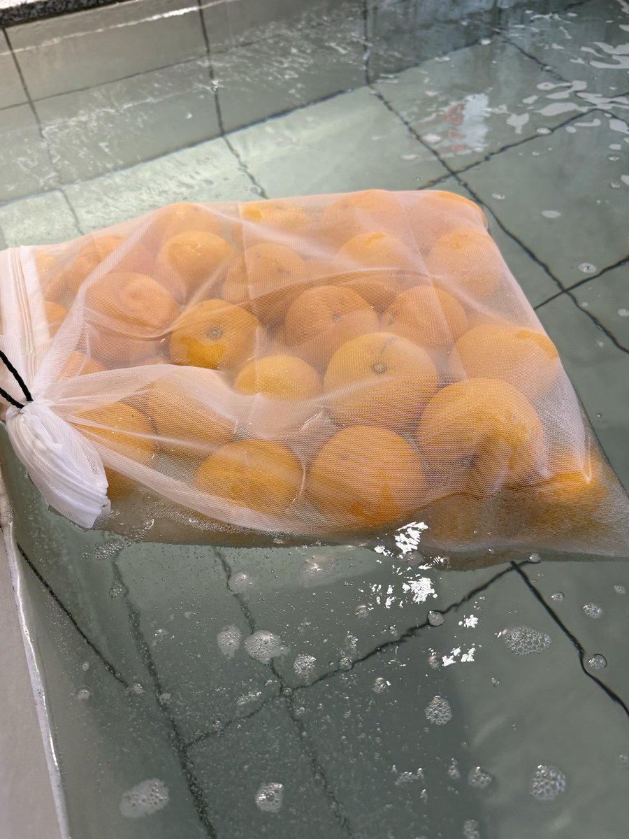 本日、生憎の天気ですが たからゆでは【柚子湯】を開催します 炭酸泉に