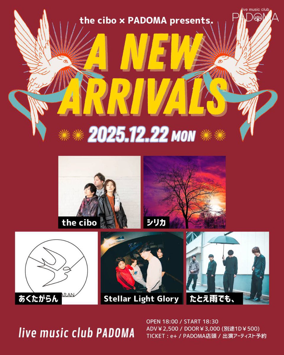 stellarlight_gl's tweet photo. 💫明日は久々🔥PADOMA💫

12/22(月) 📍兵庫 神戸PADOMA

the cibo × PADOMA presents. 
 “A NEW ARRIVALS”

⏰OPNE 18:00/START 18:30
🎫¥2,500(+1D ¥500)

【CAST】
Stellar Light Glory
the cibo
シリカ
あくたがらん
たとえ雨でも、

🎫チケット予約はDMまたはこちら💁
https://t.co/XB8vfAotDF https://t.co/siBdpiKbZC