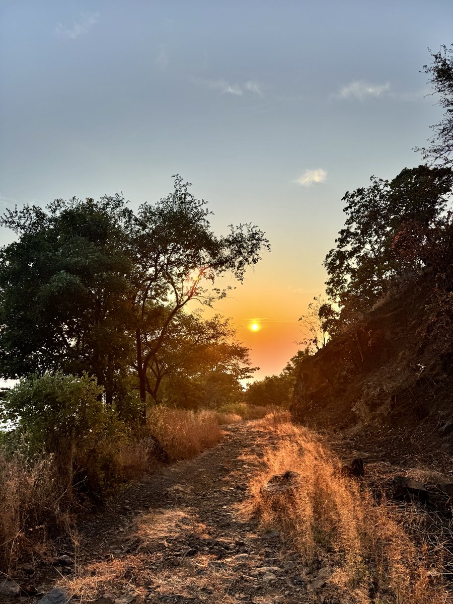 Your honest efforts will always be rewarded by the universe in its own ways, so stop measuring them through the limited range of senses we’re operating with. 

Simply enjoy the joy of making an effort, and try to find positivity even in “projected failures.” 

That acceptance