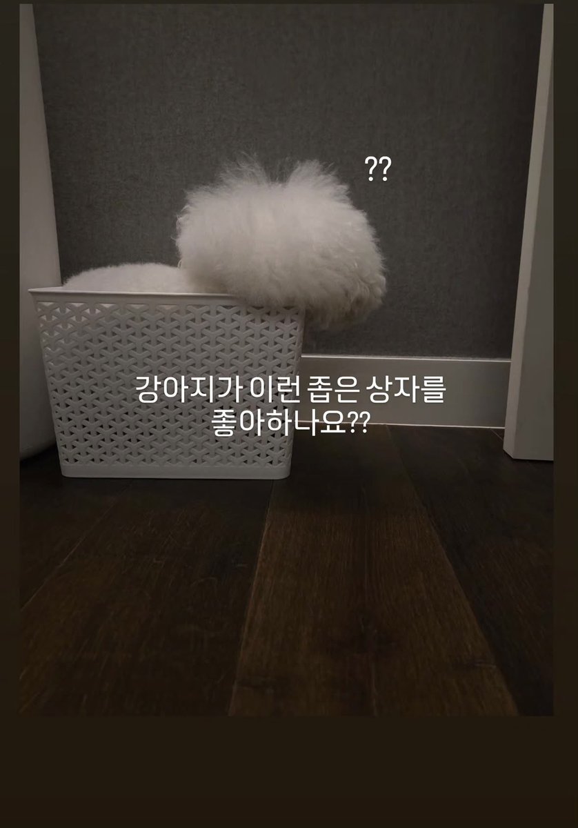 혜선언니 인스타 스토리 뭐야 ㅋㅋㅋㅋ 귀여워요...