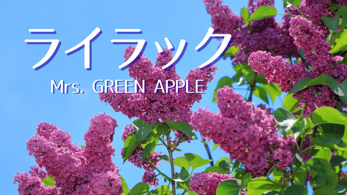 ライラックページ SERRANO KIDS に新色が登場。 GREYISH PURPLE/CREAM シンプルな