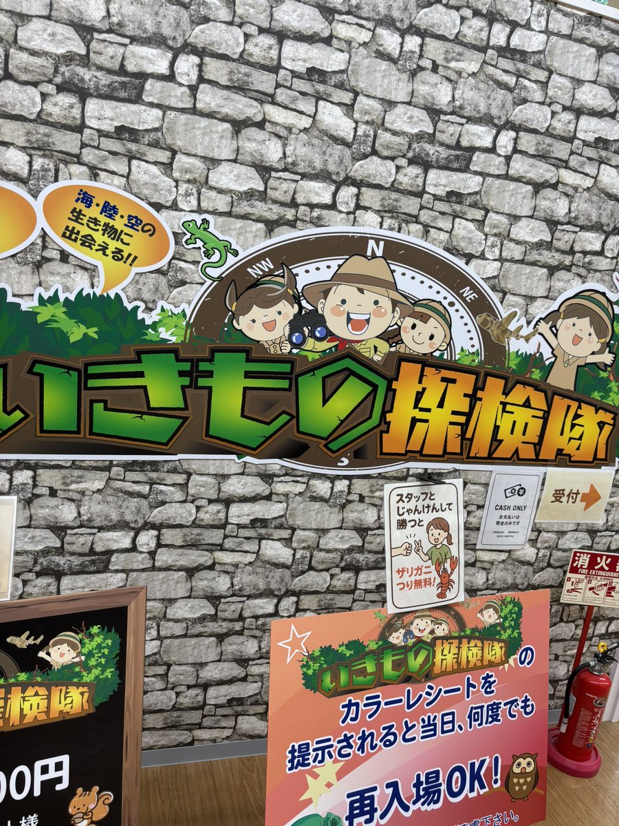 yu-ki@ベイブレードx (@yuki0716x) / Posts / X