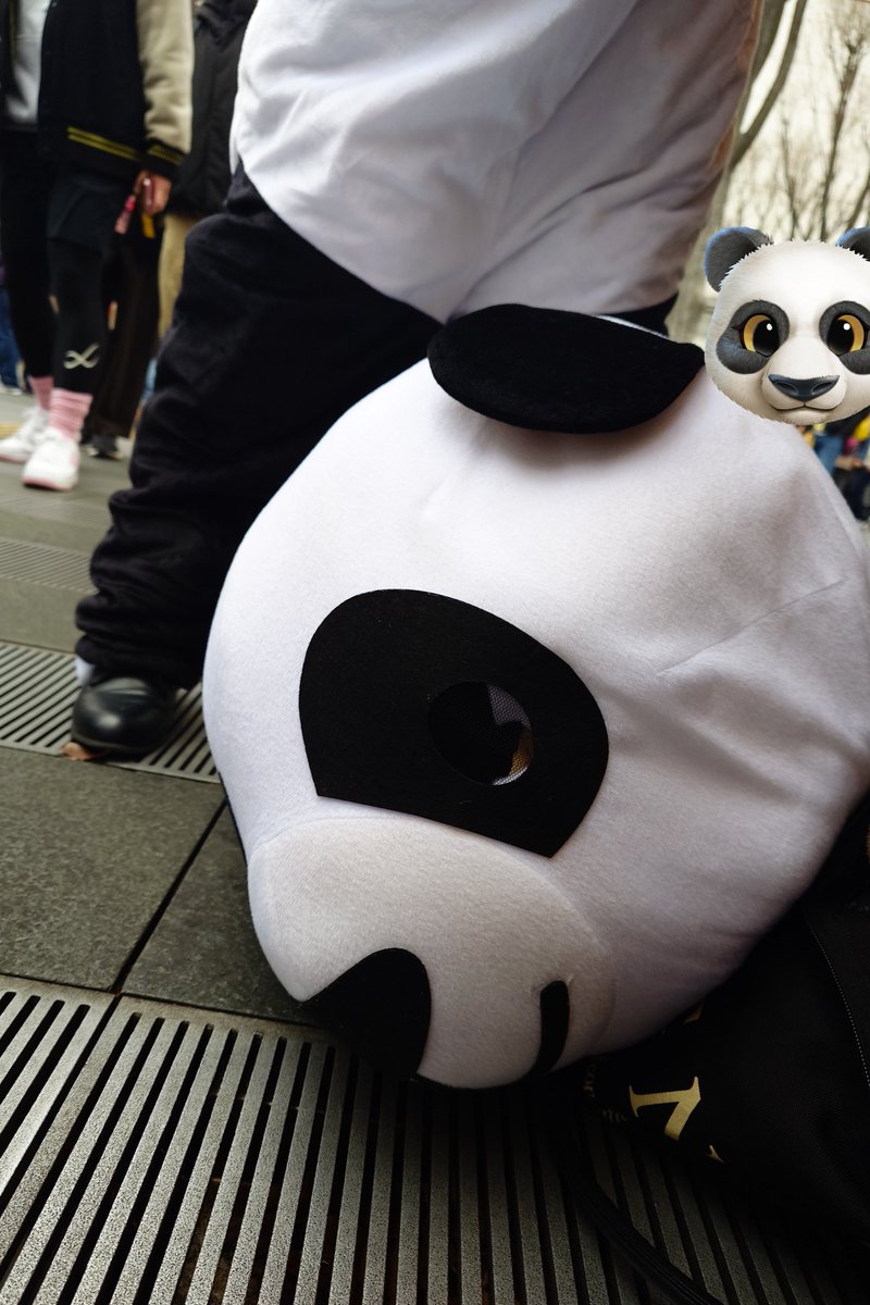 パンダさん休憩してる #ももクリ2025