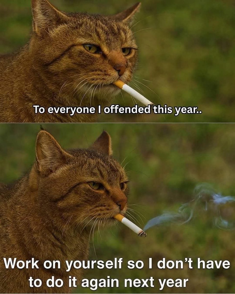 Ghostzero (@hahahaghost1) on Twitter photo 