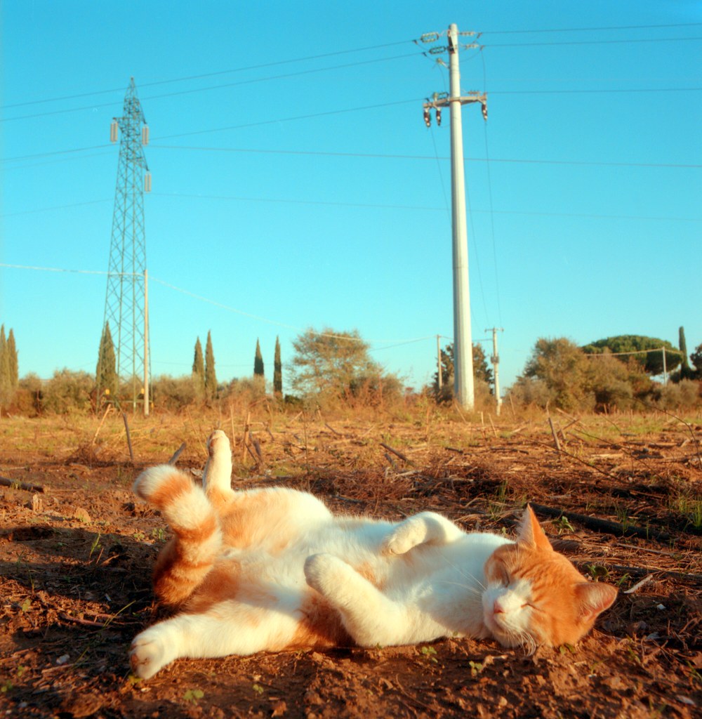 daysleepers #2 by Matteo Bagnoli (cc-by-sa)
