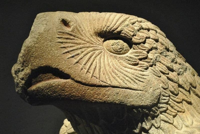 panda_profesor's tweet image. El Sol y la guerra 🌞🌞🌞
El águila real (Aquila chrysaetos) fue un ave muy preciada en el #Mexico antiguo. Se le asociaba con el Sol y con la guerra. Pinturas murales, frisos y esculturas representaron a este animal por casi un milenio en el centro del país. 
#arqueologia