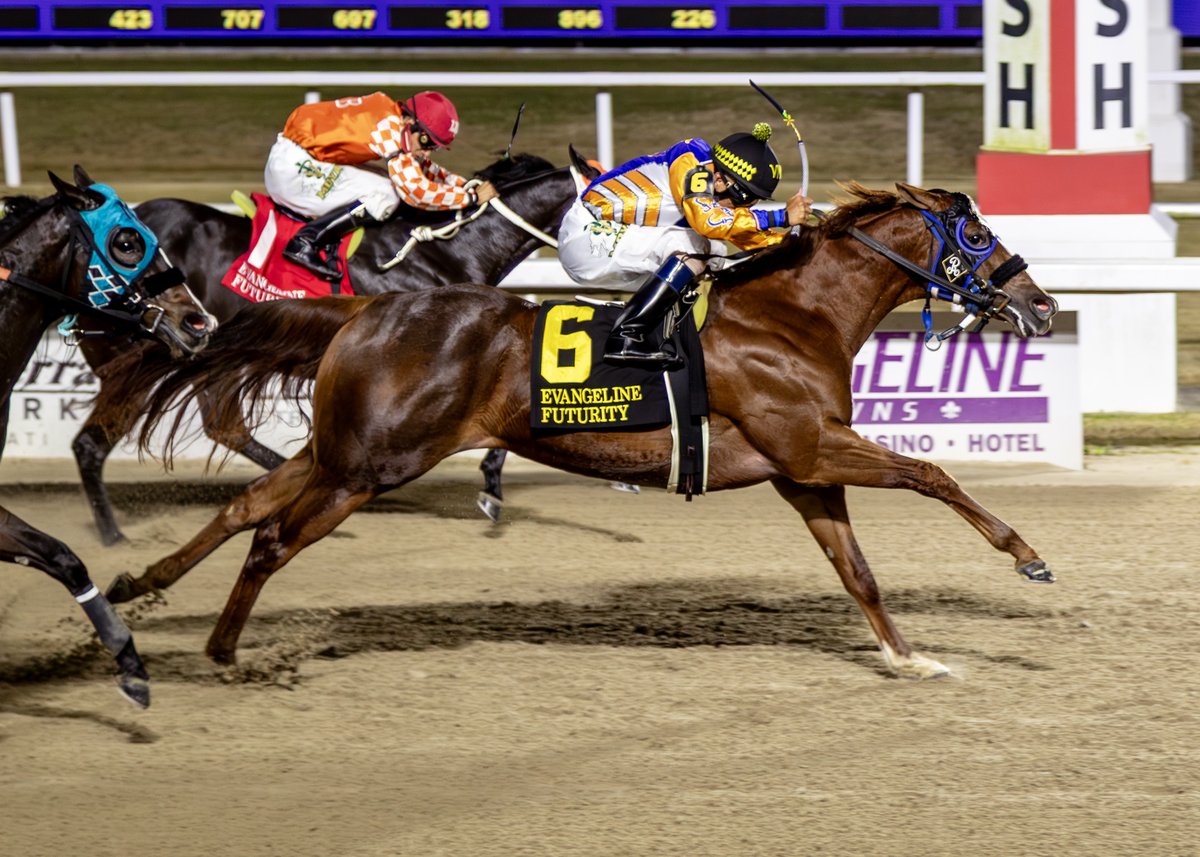 EVD Racing tweet media