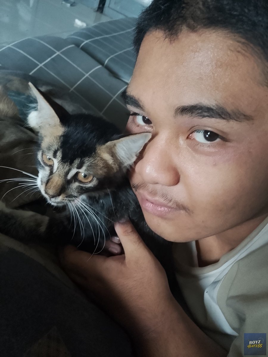 OPEN FOLLBACK DI PIN 📌 tweet media