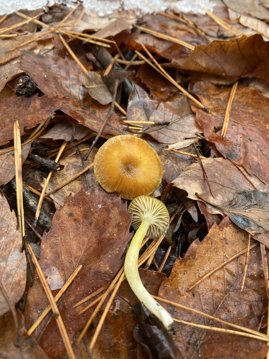 2025最後の山遊び
皆様良いお年を‼️