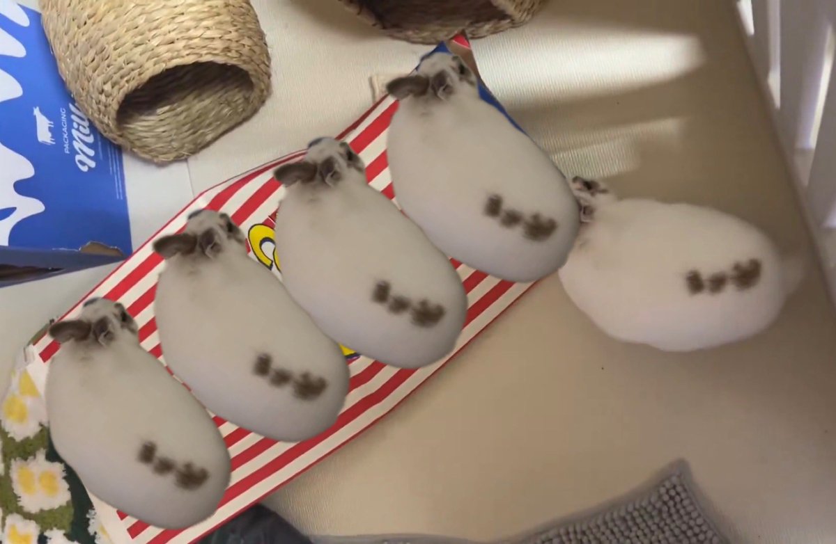 4모룽 정도의 팝콘통에 덤빈거야 지금 
모룽이 넘넘 용맹토띠야