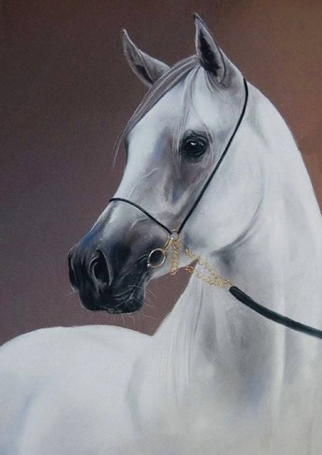 يُقال!! 
 أَنَّ هُناكَ مايُسَمَّى بـِ " لُغَةْ العيونْ"
بَحَثْتُ كَثيراً 
فِي مَعاجِم اللُّغَة فَلَمْ أَجِد إِلاَّ تَفْسيراً  وَحِيداً :

بَريقُ عّيْنَيكِ هُوَ الحَرْفُ التّّاسِعُ وَالعِشْرونْ 
الَِّذي يُقْرَأْ وَلايُكْتَبْ

#صباح_الخير 
#صباح_الاجواء_الحلوه 
#زايـد_محمد