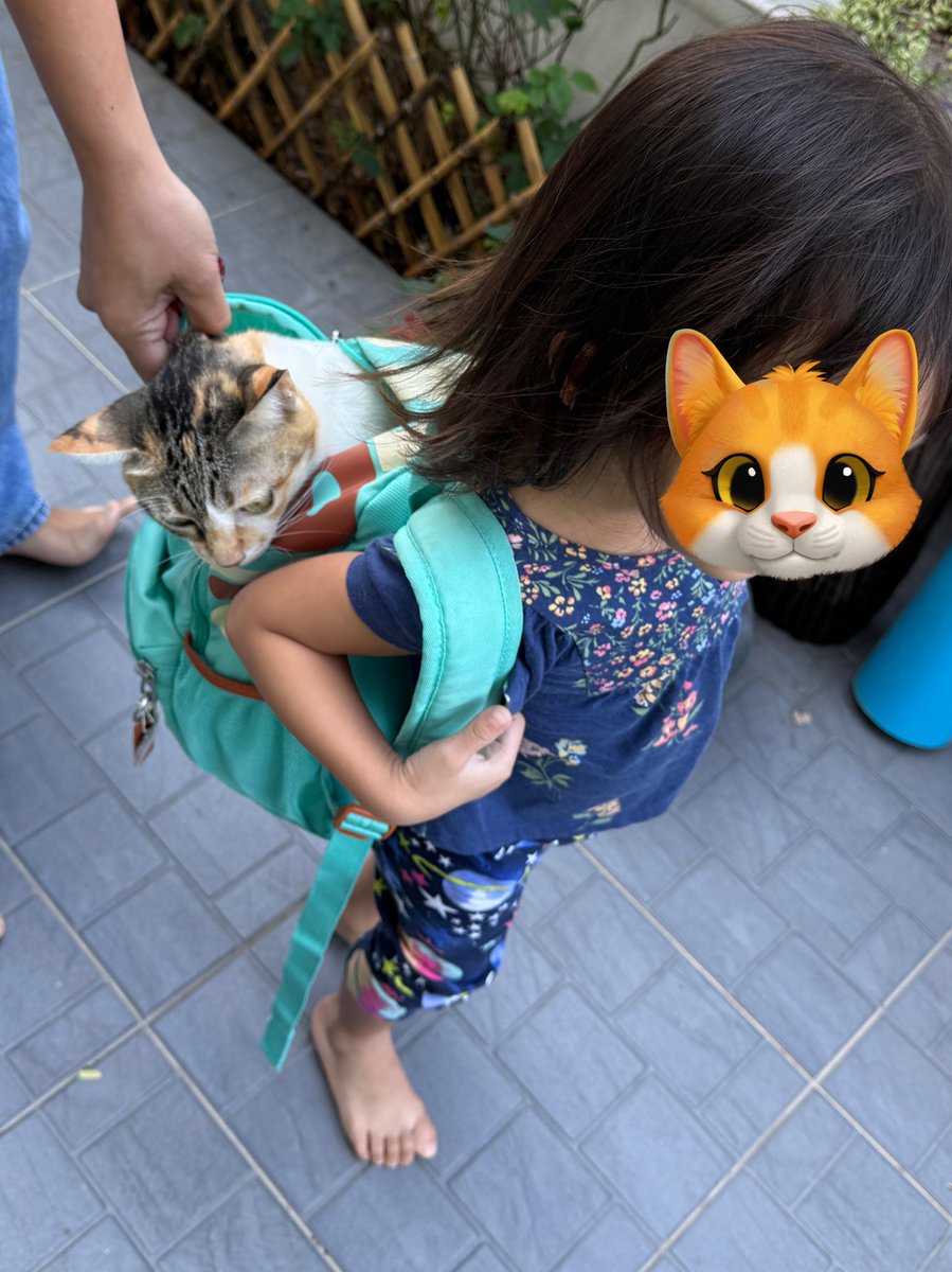 ช่วงนี้หลานสาวซ้อมไปโรงเรียน บอกว่ากระเป๋านักเรียนเค้าให้ใส่แต่ของสำคัญ หลานสาวชั้น=